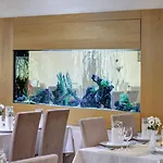 Dixon & Wellness 4*