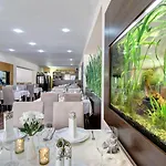 Hotel Dixon & Wellness 4*