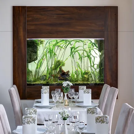 Hotel Dixon & Wellness