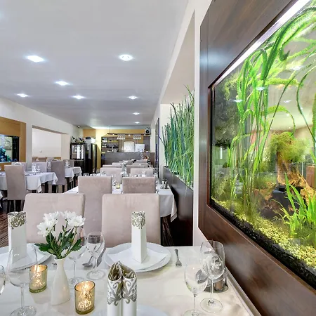 Hotell Dixon & Wellness 4*