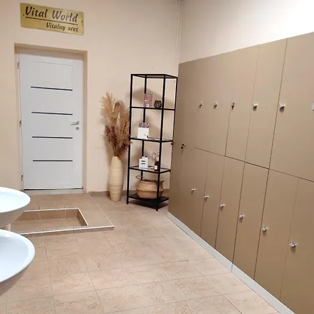Hotel Dixon & Wellness 4*