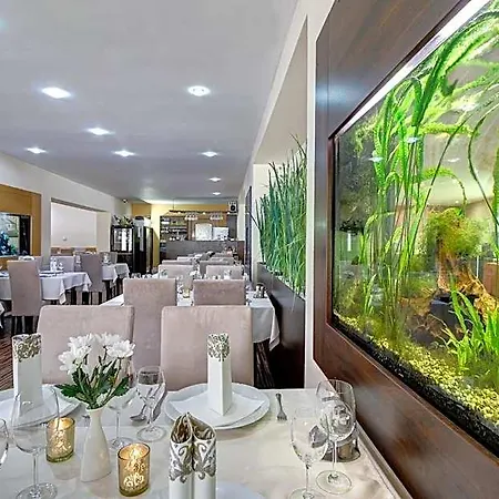 Dixon & Wellness 4*