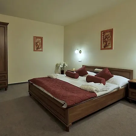 Dixon & Wellness 4* Banská Bystrica