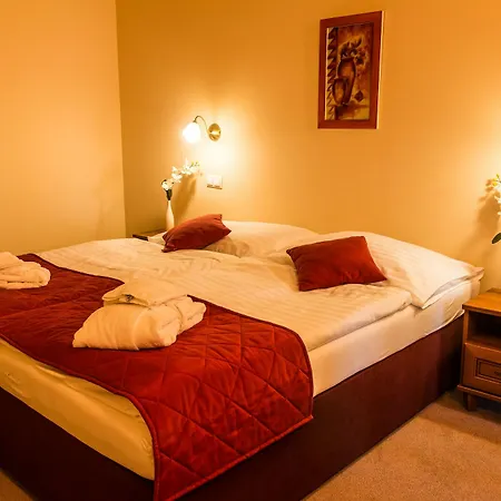 Hotel Dixon & Wellness Banská Bystrica