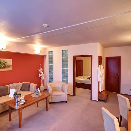 酒店 Dixon & Wellness 班斯卡-比斯特里察